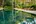 Outdoor pool and terrace