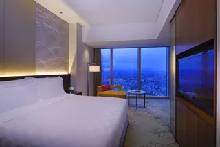 Queen guest room