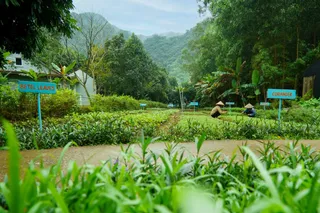 Farm