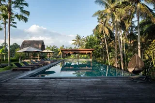 Pool and garden