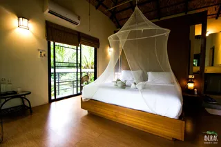 Rooms with garden views