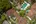 Birds-eye view!