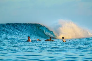 Surf