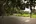 Banyan deck