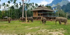 Elephant Hills