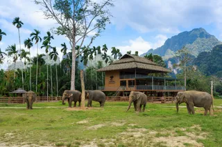 Elephant Hills