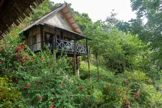 Bungalow exterior
