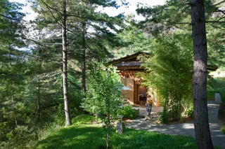 Villas tucked amongst the trees