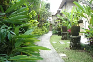 Tropical garden