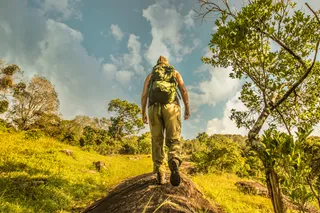 Walking through nature