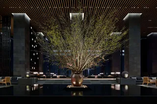 Inner Garden