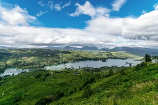 View over Camellia Hills