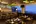 Neptune Bar