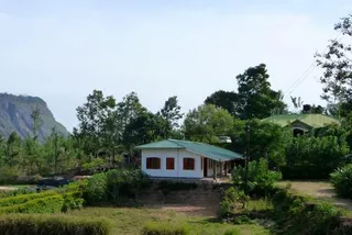 Amba Estate