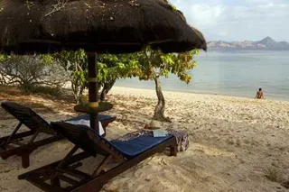 Loungers on the beach