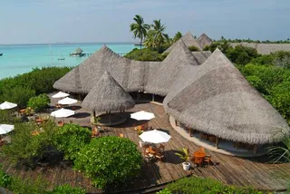 Conch Bar