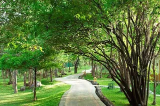 The gardens are extensive and extremely well kept