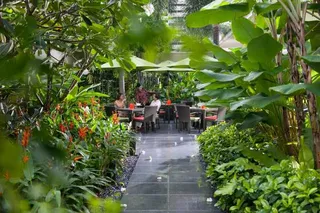 MELT garden terrace