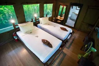 Twin bedded tent