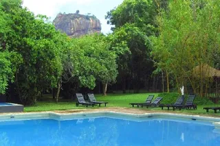 The swimming pool & lush gardens