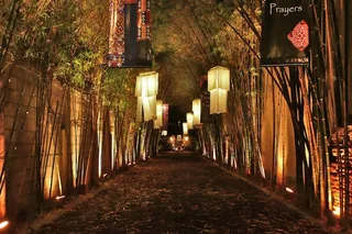 The impressive bamboo entrance way