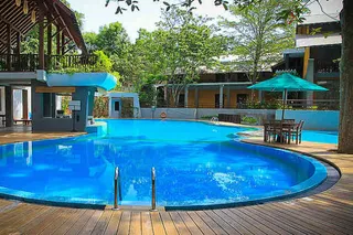 Freeform swimming pool