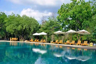 The swimming pool & sun terrace