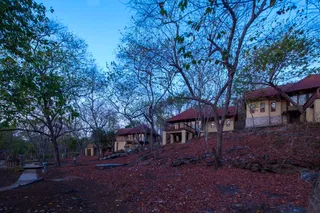 Jungle Lanai Cottages