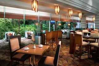 Palmz Lounge