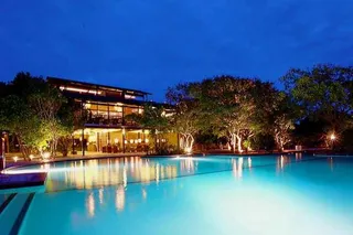 Cinnamon Wild Yala