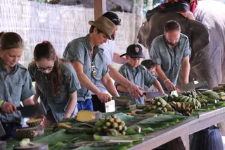 Preparing food for the elephants