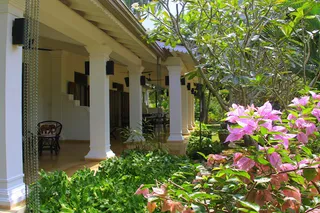 The property has a homely feel with attractive gardens