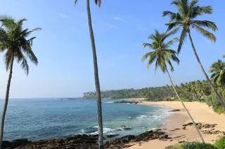 The beach