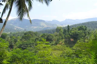 The view across the valley
