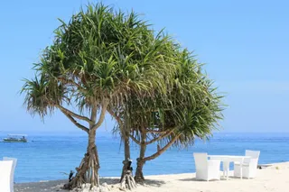 Seafront restaurant & bar