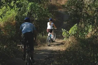 Cycling in West Bali National Park