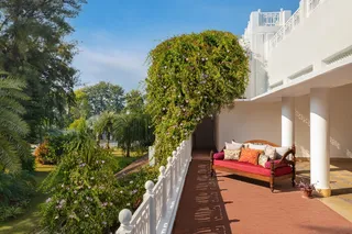 Terrace and garden