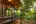 Terrace and garden