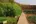 Kitchen garden