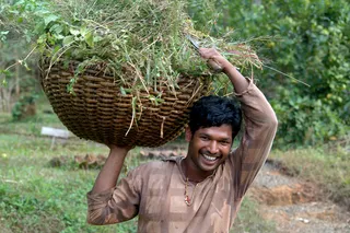 Local farmers