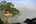 Treehouse
