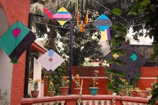 A splash of colour