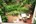 Views over the thriving garden