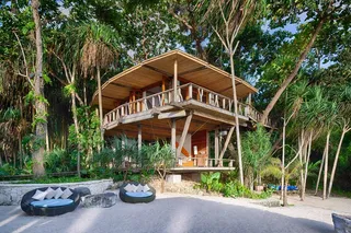 Tree house