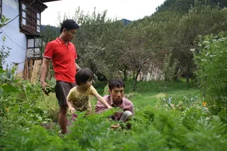 Farm