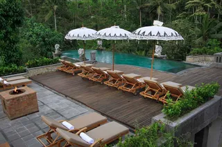 Swimming pool overlooking the forest