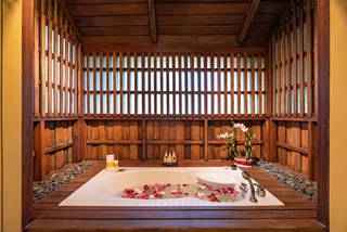 Deluxe premium bathroom tub