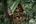 Tree house