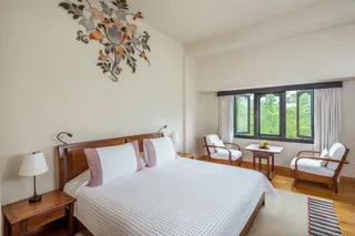 Forest view room