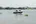 Shuttle boat